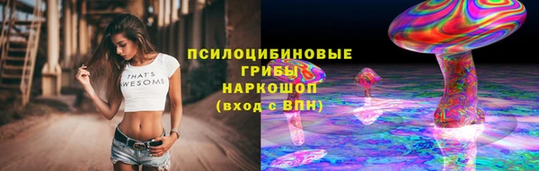 дживик Алексеевка