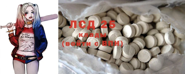 ПСИЛОЦИБИНОВЫЕ ГРИБЫ Абаза