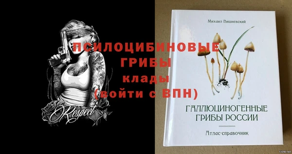 ешки Алексин