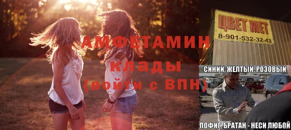 ПСИЛОЦИБИНОВЫЕ ГРИБЫ Алзамай