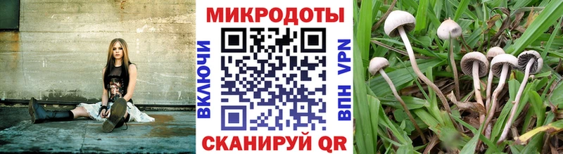 даркнет сайт  Майский  Псилоцибиновые грибы MAGIC MUSHROOMS 